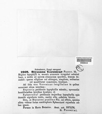 Image Associated With the Occurence